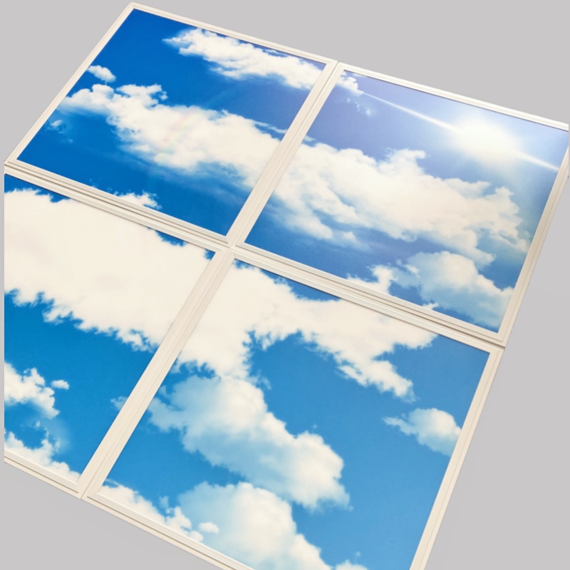 skylight panel