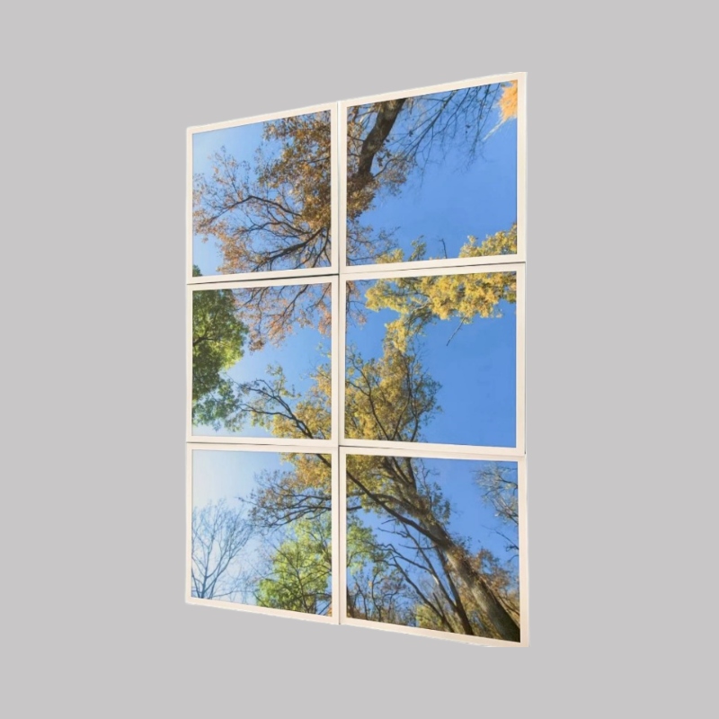 skylight panel
