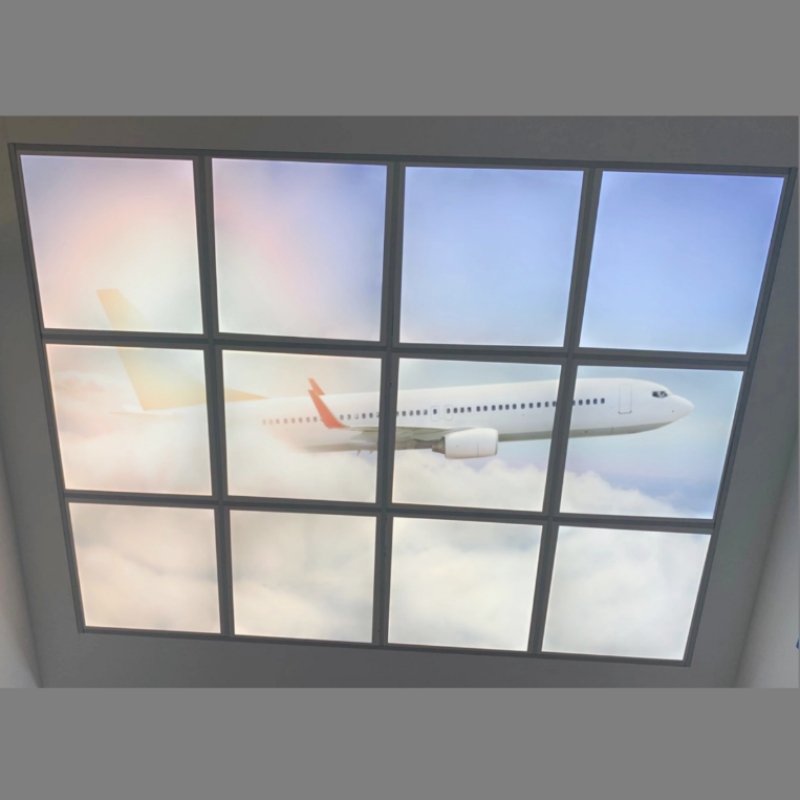 skylight panel