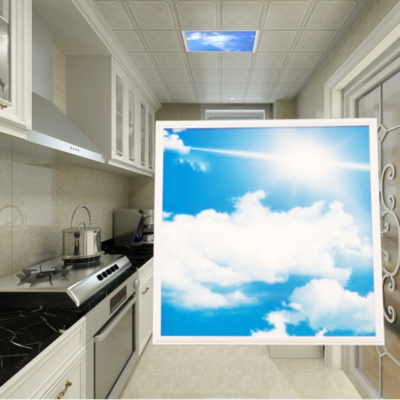 skylight panel