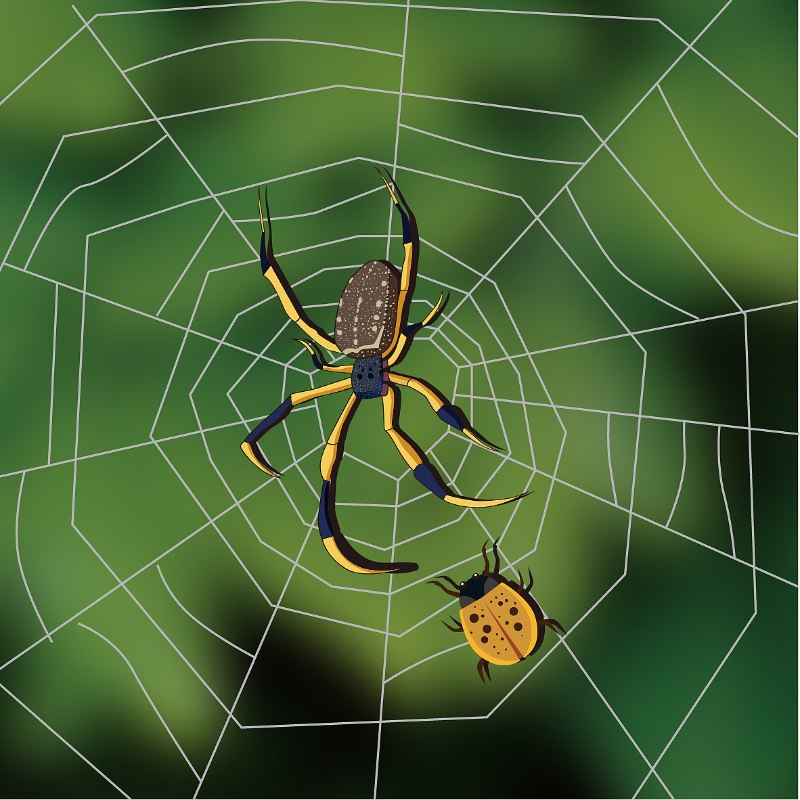 do led lights attract spiders