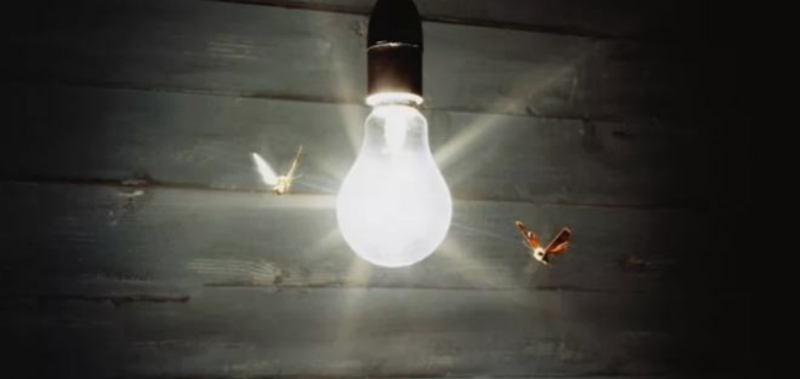 do led lights attract spiders