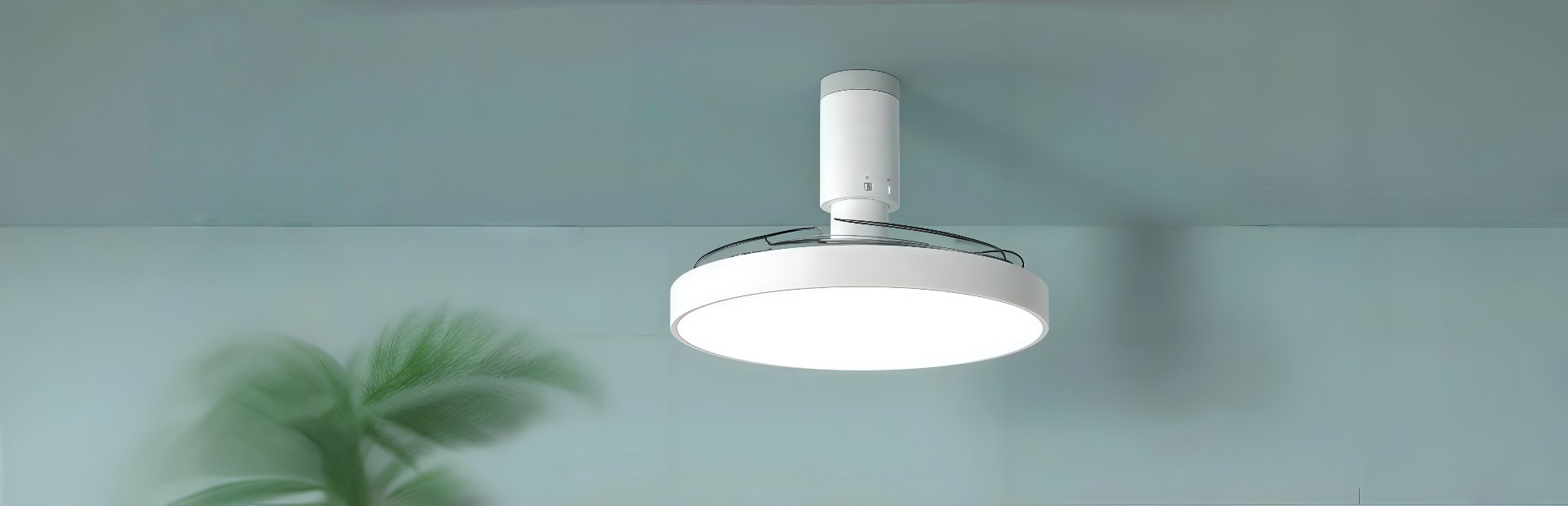 Tangtang Lighting